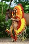 Horse Tradition Mythology Fictional character Carnival